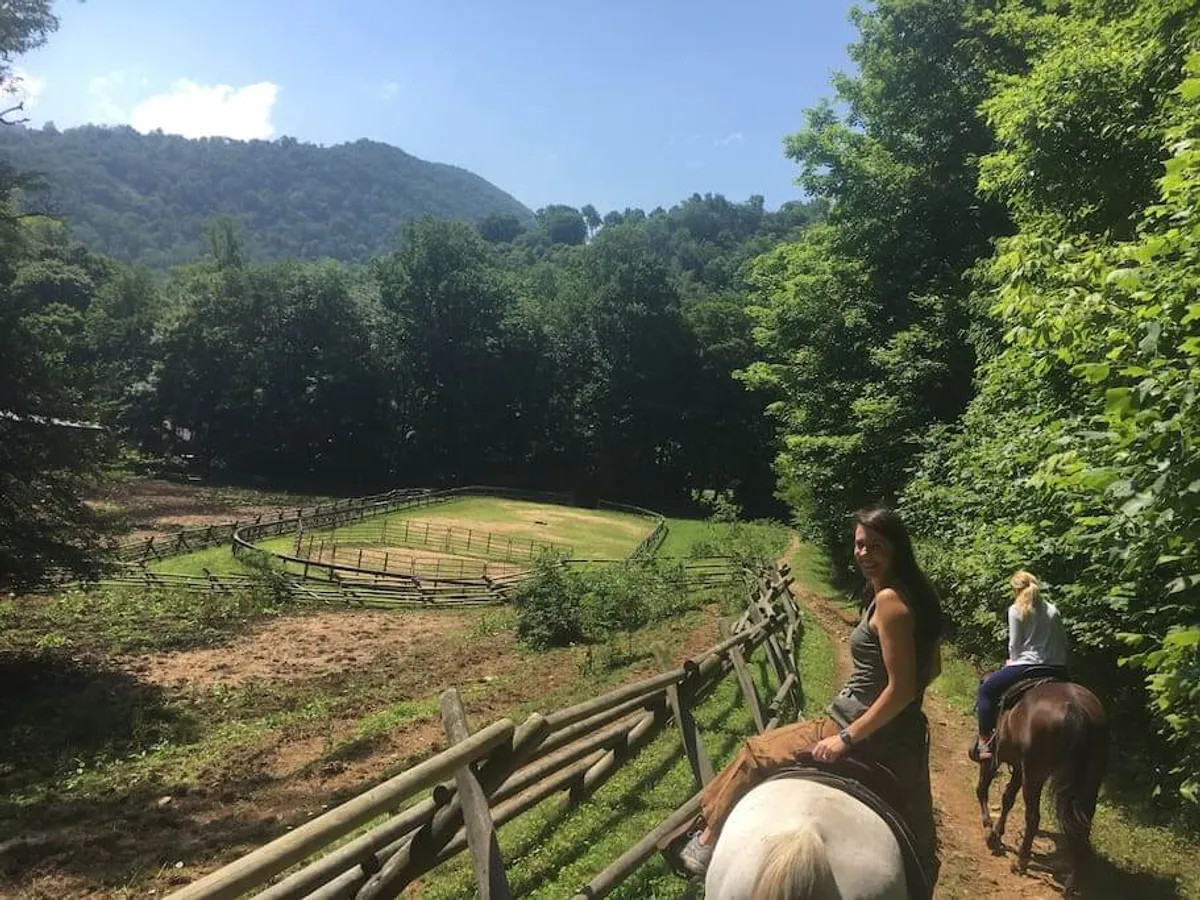 An adventurous and serene scene with a rider on horseback, a wooden fence, lush greenery, and mountains in the background. This image captures the allure of outdoor activities, exploration, and the mountain landscape.