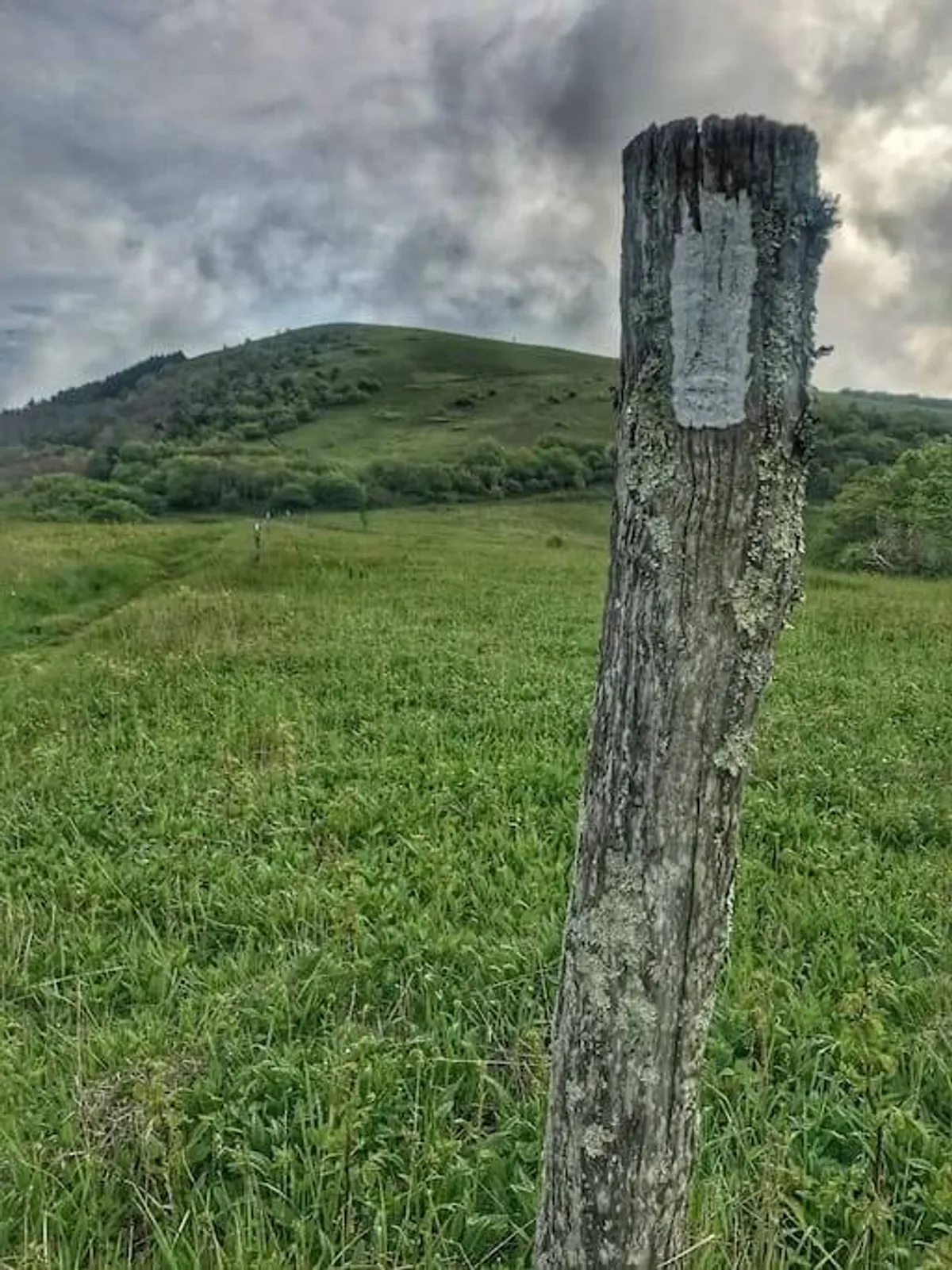 A tranquil scene featuring a weathered wooden post set amidst a lush green field, rolling hills, and untouched mountain terrain. The open landscape exudes a sense of peaceful seclusion and invites exploration.